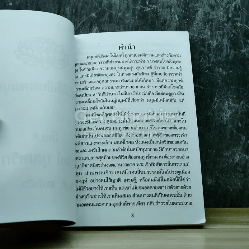 ความไม่ยั่งยืนของมนุษย์ โดย ศรีรัตน์ บุณฑริก พ.ศ.2546 รูปที่ 3