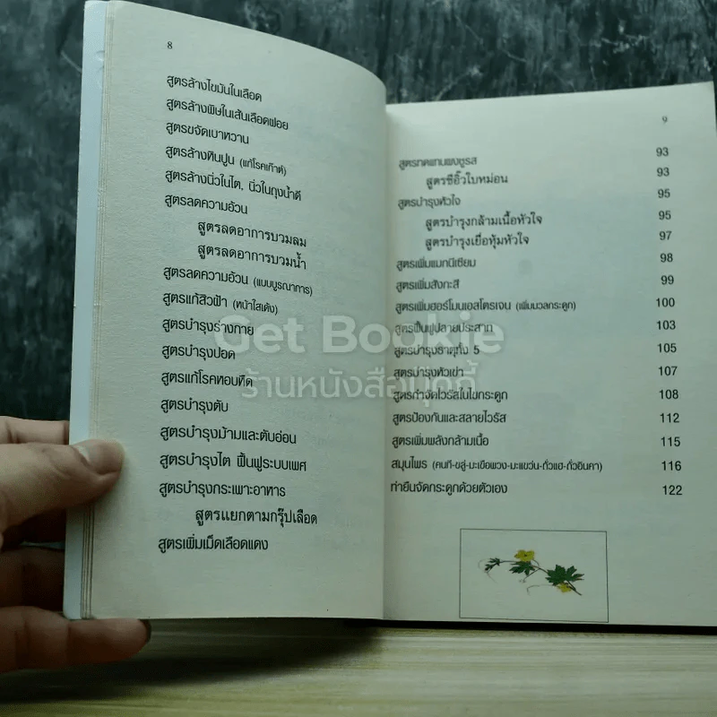 กินอย่างไรจึงไม่ป่วย สูตรเด็ดธรรมชาติบำบัด ฉบับวัดเขาพุทธโคดม รูปที่ 6