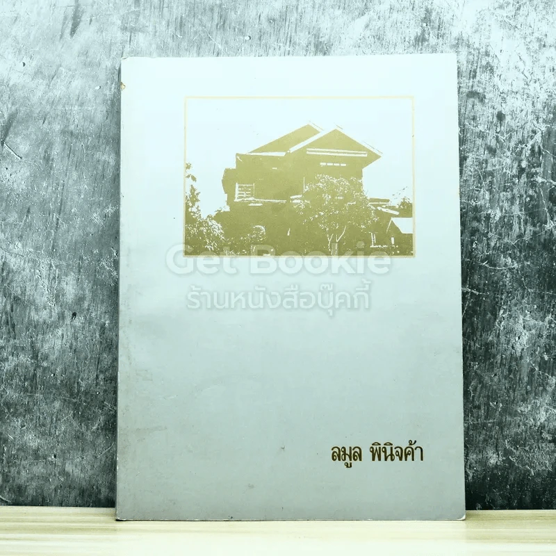 ลมูล พินิจค้า รูปที่ 1