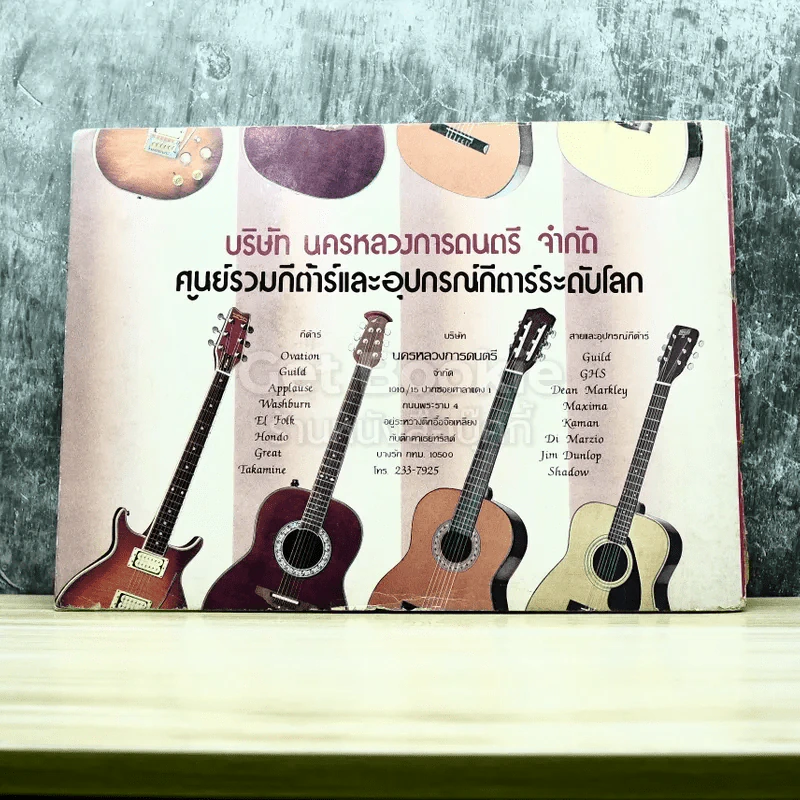 เพลง 3 คอร์ด รูปที่ 8