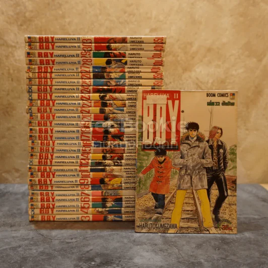 Boy Hareluya II ครบชุด 33 เล่มจบ (ขาดเล่ม 1,2,13,33) รูปที่ 1