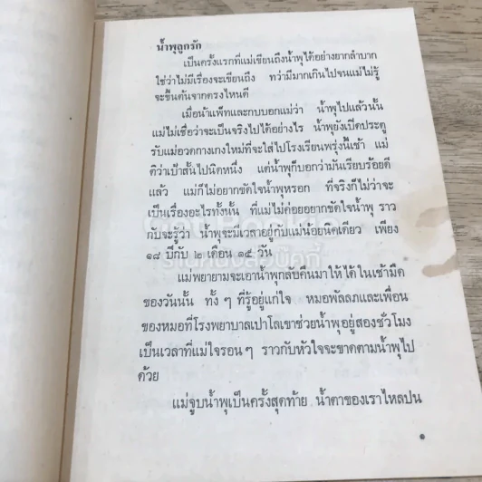 เรื่องของน้ำพุ รูปที่ 12
