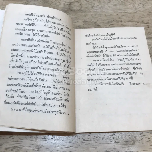 เรื่องของน้ำพุ รูปที่ 11