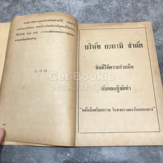 หลั่งเลือดโลมทรายในสงครามตะวันออกกลาง รูปที่ 14