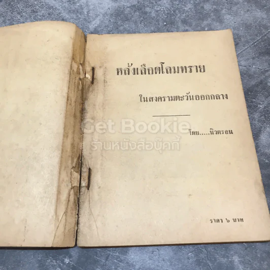 หลั่งเลือดโลมทรายในสงครามตะวันออกกลาง รูปที่ 7