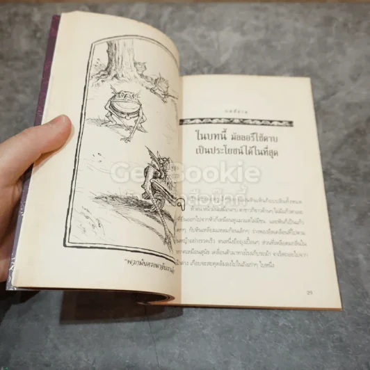 The Spiderwick Chronicles ตำนานสไปเดอร์วิก เล่ม 2,4,5 รูปที่ 9