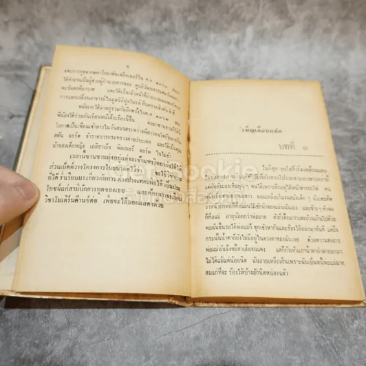 เพ็ญเดือนแปด หนังสือชุดเสรีภาพ เล่มที่ 4 รูปที่ 8