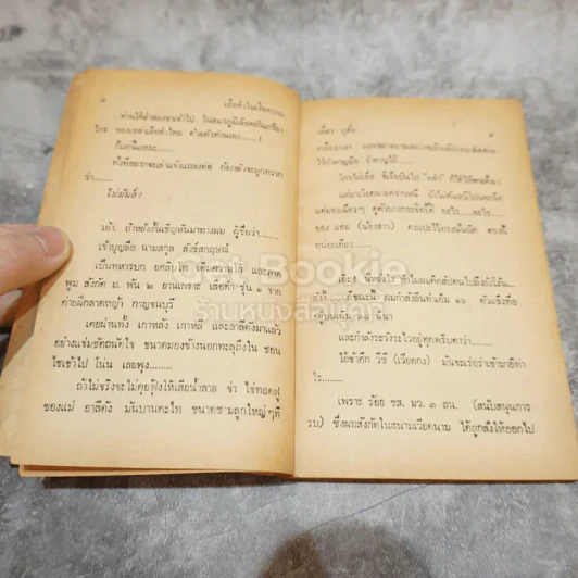 เสือดำในเวียดนาม รูปที่ 6