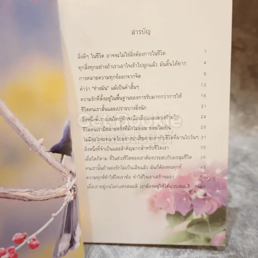 ธรรมสบายใจ รูปที่ 5