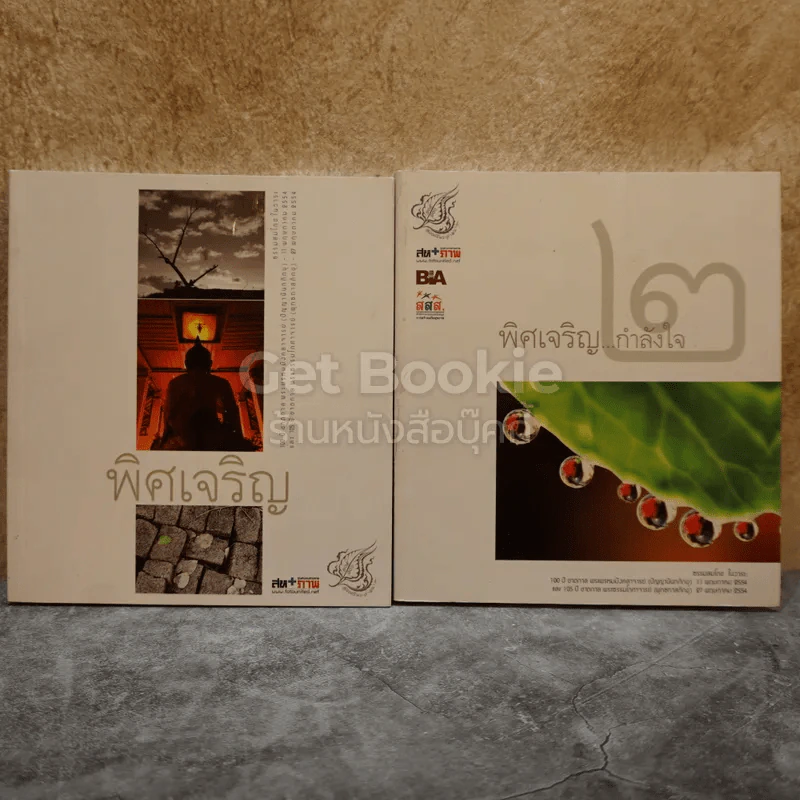 พิศเจริญ เล่ม 1-2 รูปที่ 1