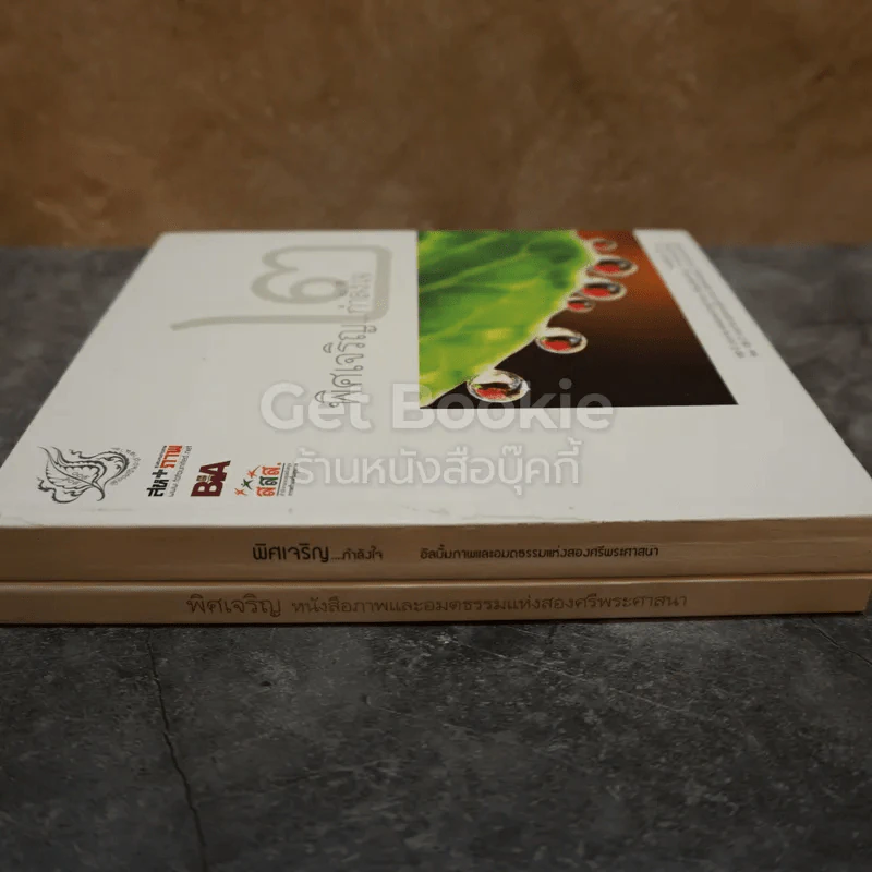 พิศเจริญ เล่ม 1-2 รูปที่ 2