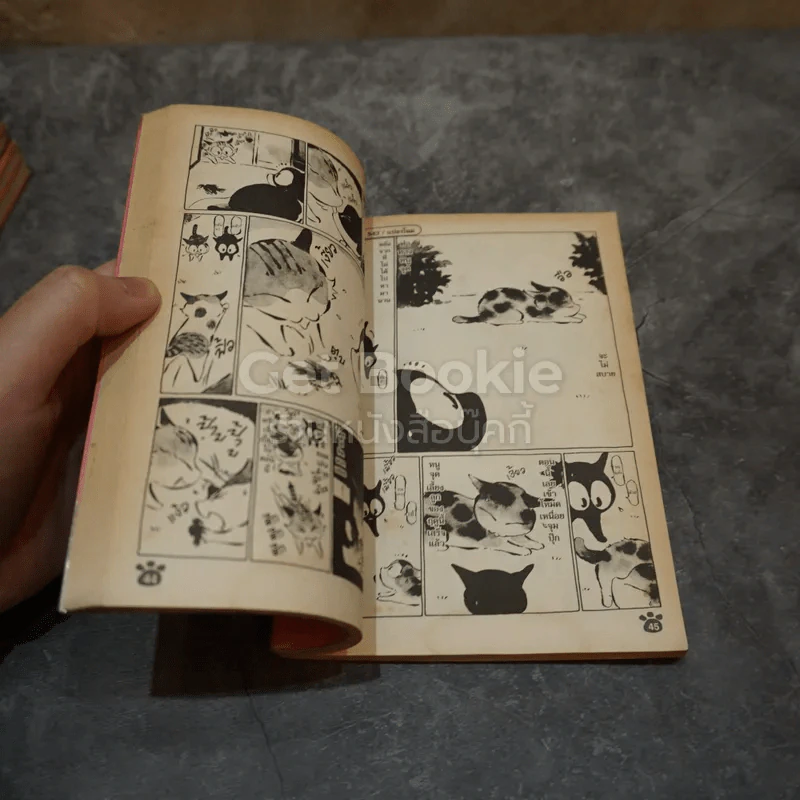 หง่าวซ่าคุโรโกะ 9 เล่มจบ รูปที่ 6