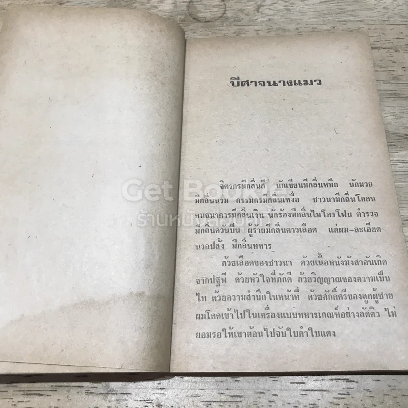 กลิ่นทหาร รูปที่ 11