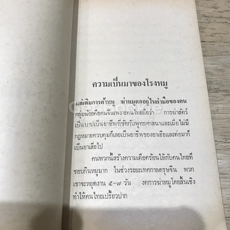 ลุยโรงหมู เพื่อรู้เบื้องหลังเรื่องหมู รูปที่ 12
