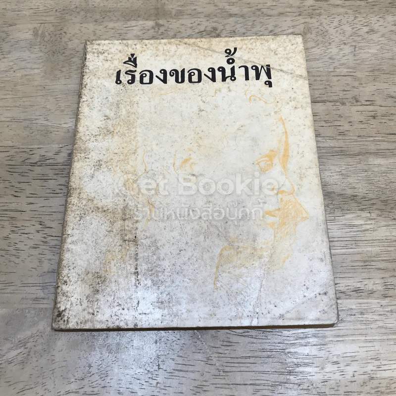 เรื่องของน้ำพุ รูปที่ 1