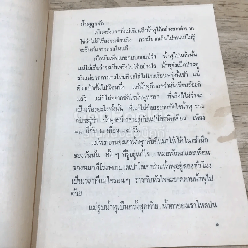 เรื่องของน้ำพุ รูปที่ 12