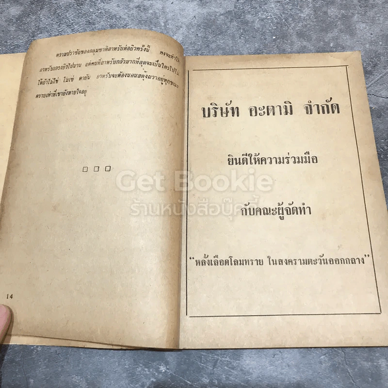 หลั่งเลือดโลมทรายในสงครามตะวันออกกลาง รูปที่ 14