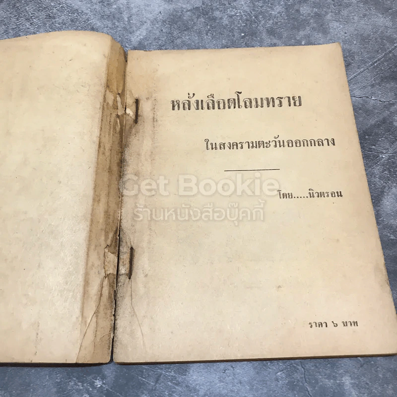 หลั่งเลือดโลมทรายในสงครามตะวันออกกลาง รูปที่ 7