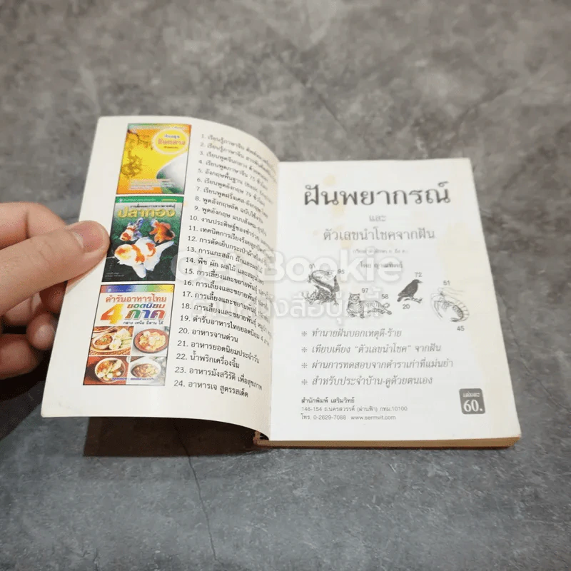 ฝันพยากรณ์ รูปที่ 6