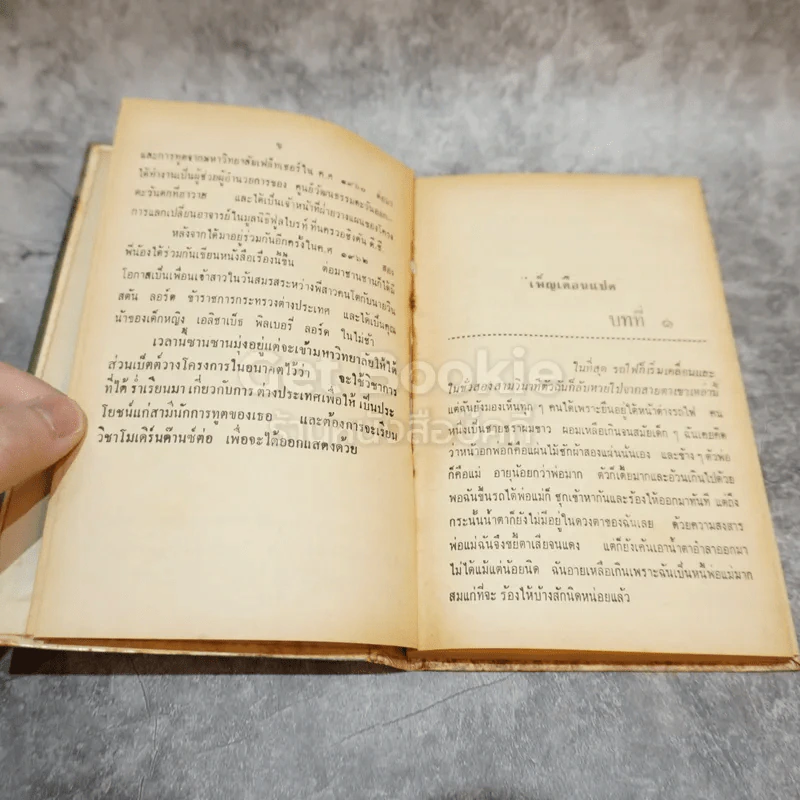 เพ็ญเดือนแปด หนังสือชุดเสรีภาพ เล่มที่ 4 รูปที่ 8