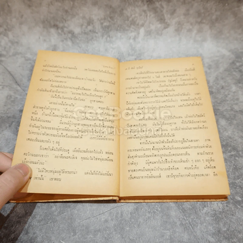 มุ่งตะวันตก หนังสือชุดเสรีภาพ เล่มที่ 1 รูปที่ 10