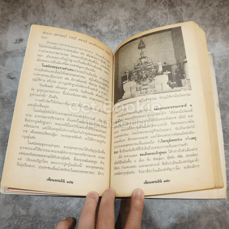พระเนื้อชินยอดนิยม คู่มือเซียน เซียนพระมินิ 6 รูปที่ 9