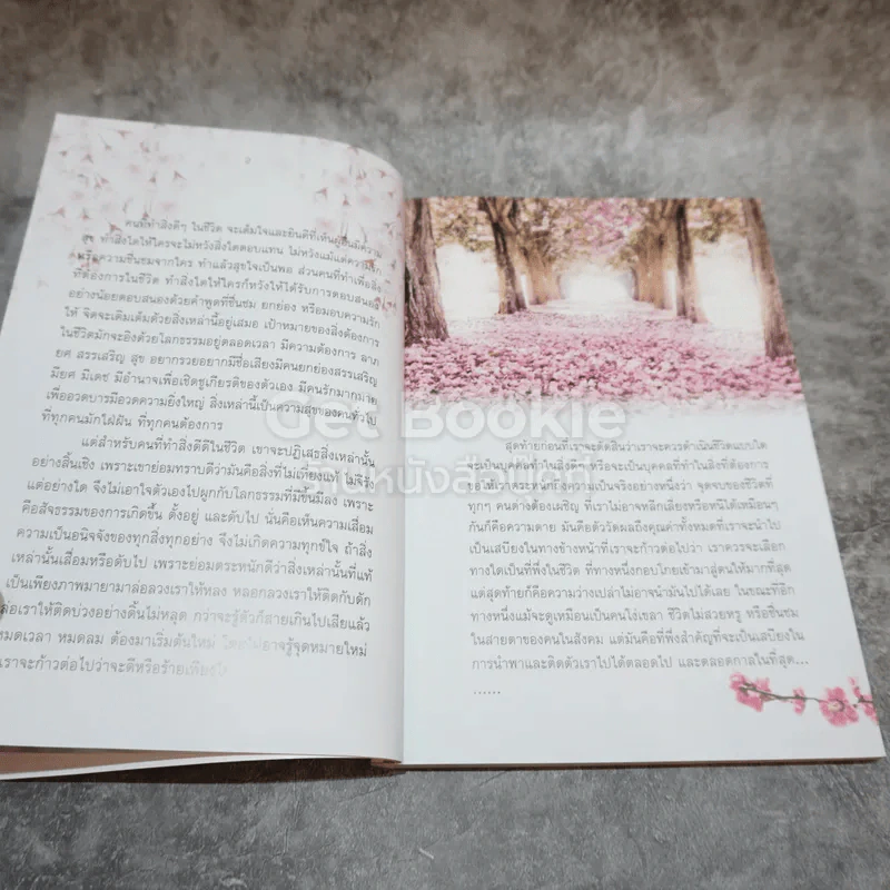 ธรรมสบายใจ รูปที่ 8
