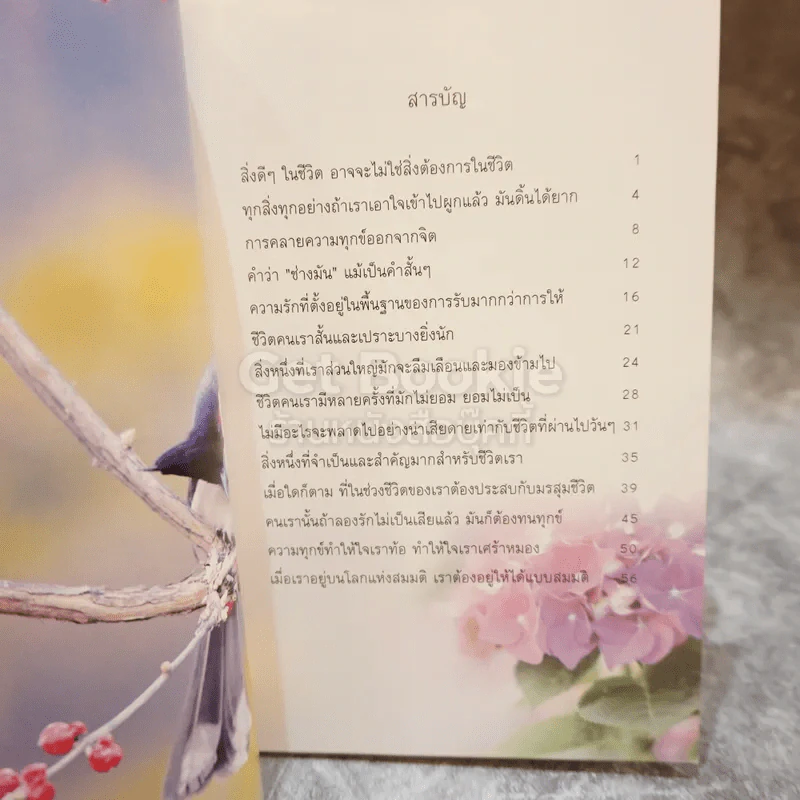 ธรรมสบายใจ รูปที่ 5