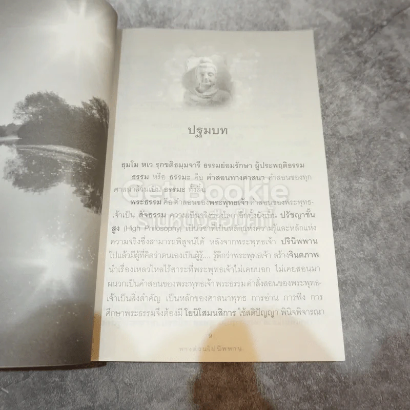 ทางด่วนไปนิพพาน ธรรมะฉบับผ่าโลก รูปที่ 8