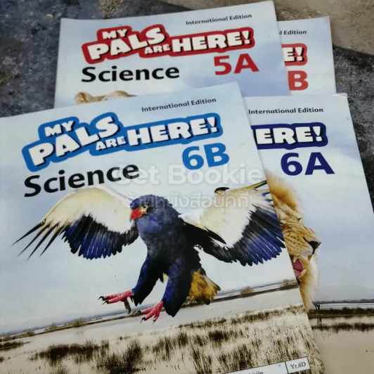 My Pals Are Here! 5A, 5B, 6A, 6B รูปที่ 1