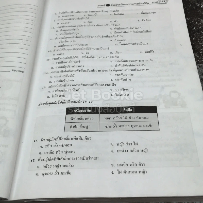 วิทยาศาสตร์ ป.4-5-6 รูปที่ 10
