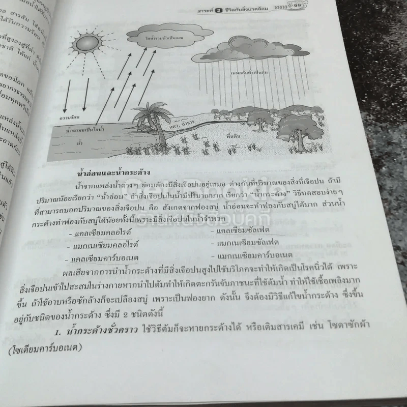 วิทยาศาสตร์ ป.4-5-6 รูปที่ 13