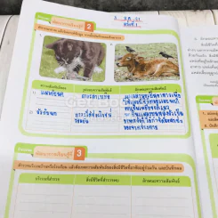วิทยาศาสตร์ ป.6 รูปที่ 14