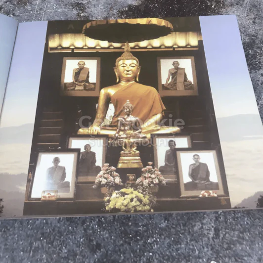 ไม่มาเกิดมาตายเรียกว่า ชาติสุดท้าย รูปที่ 12