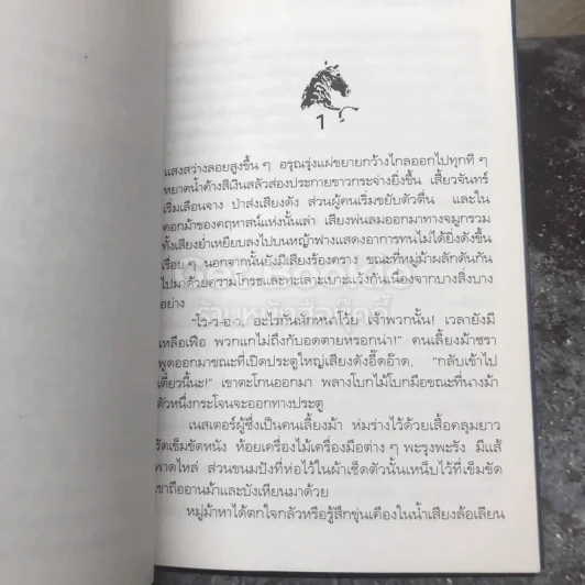 ไม้หลา ปริศนาแห่งม้าตัวหนึ่ง รูปที่ 8