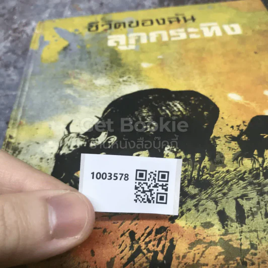 ชีวิตของฉันลูกกระทิง รูปที่ 11