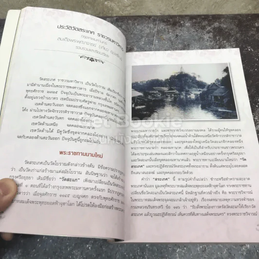ประวัติวัดสระเกศ ราชวรมหาวิหาร กรุงเทพมหานคร รูปที่ 8
