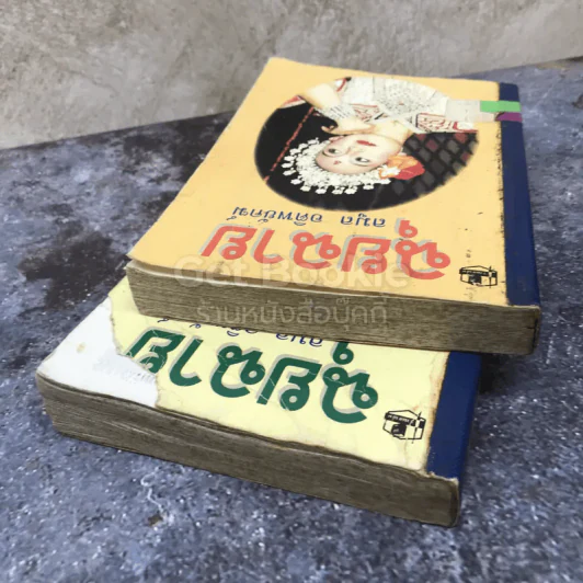 ฉุยฉาย 2 เล่มจบ รูปที่ 5