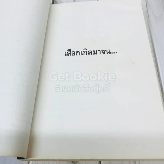 พลิกชีวิต จากหายนะ..สู่ความสำเร็จ รูปที่ 12