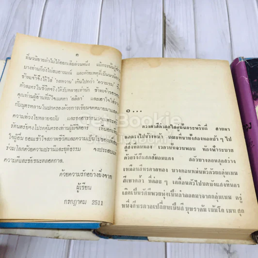 สนิมสังคม 2 เล่มจบ รูปที่ 12