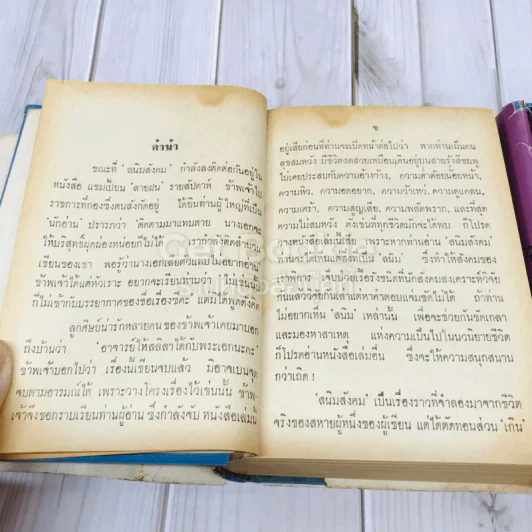 สนิมสังคม 2 เล่มจบ รูปที่ 11