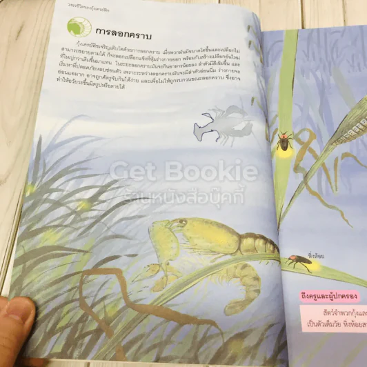 สารานุกรมวิทยาศาสตร์ เล่ม 3 รูปที่ 19