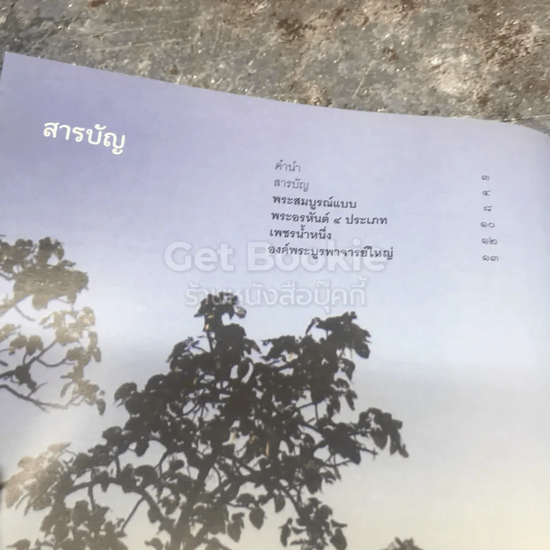 ไม่มาเกิดมาตายเรียกว่า ชาติสุดท้าย รูปที่ 9