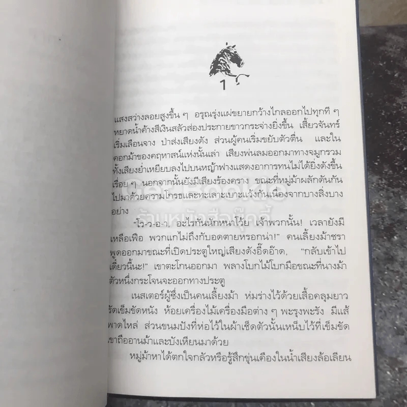 ไม้หลา ปริศนาแห่งม้าตัวหนึ่ง รูปที่ 8