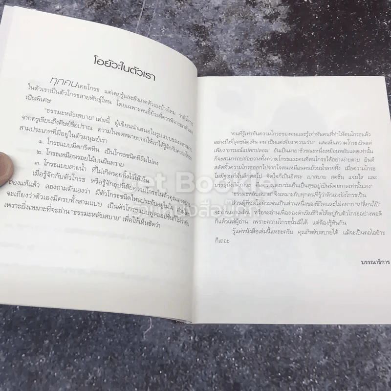 ธรรมะหลับสบาย รูปที่ 8