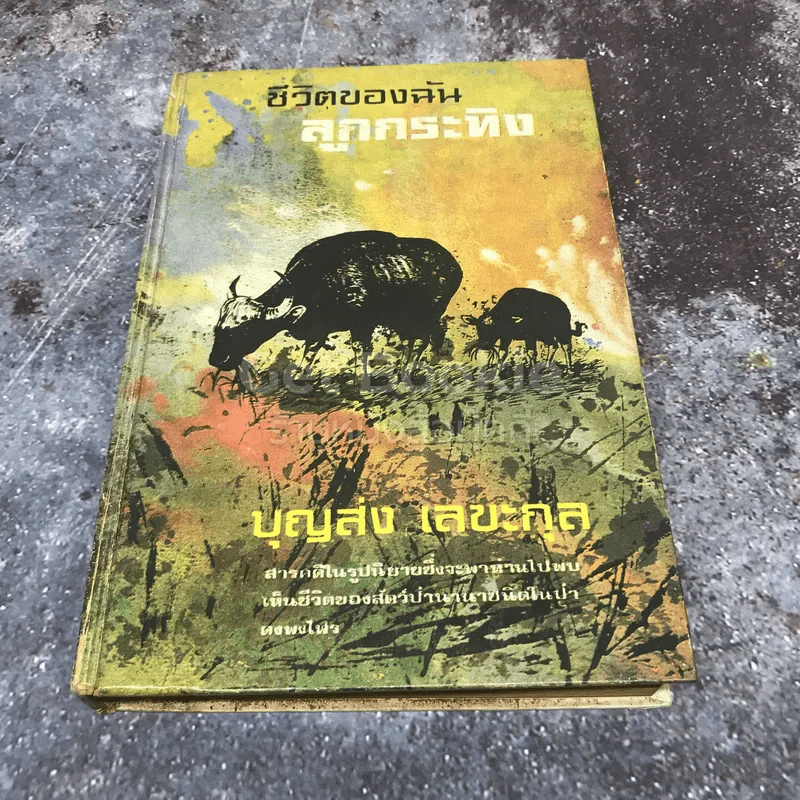 ชีวิตของฉันลูกกระทิง รูปที่ 1