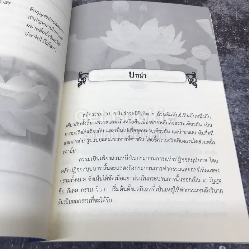 กฎแห่งกรรม รูปที่ 9