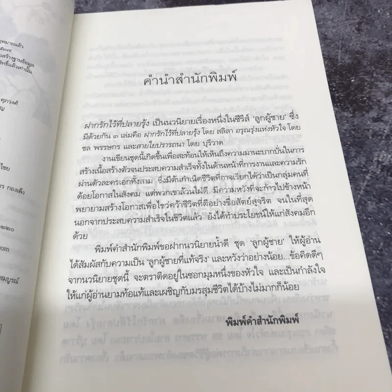 ซีรีส์ลูกผู้ชาย ฝากรักไว้ที่ปลายรุ้ง รูปที่ 7