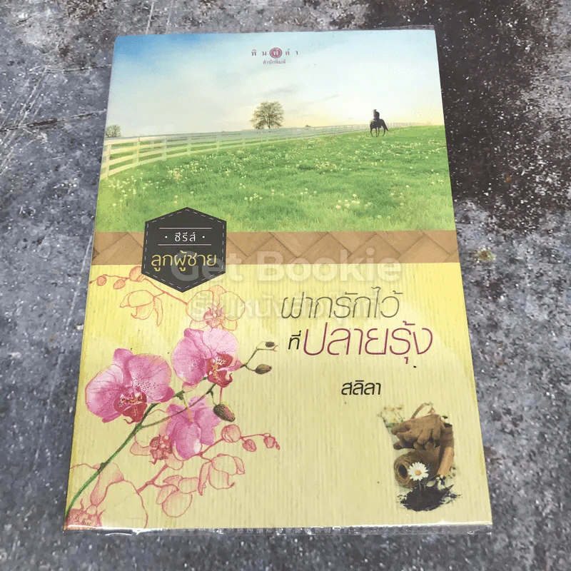 ซีรีส์ลูกผู้ชาย ฝากรักไว้ที่ปลายรุ้ง รูปที่ 1