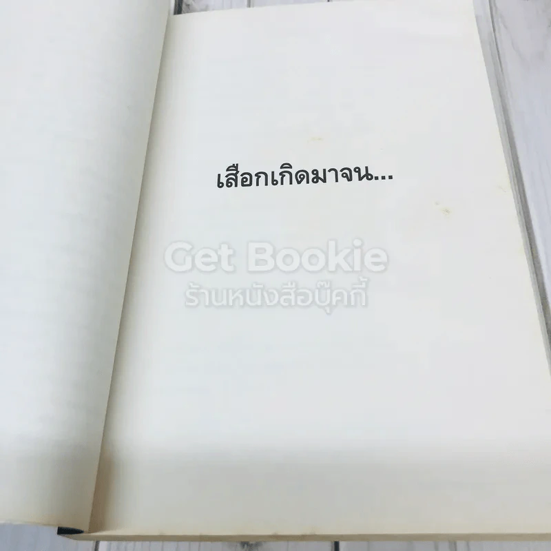 พลิกชีวิต จากหายนะ..สู่ความสำเร็จ รูปที่ 12